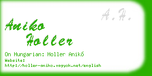 aniko holler business card